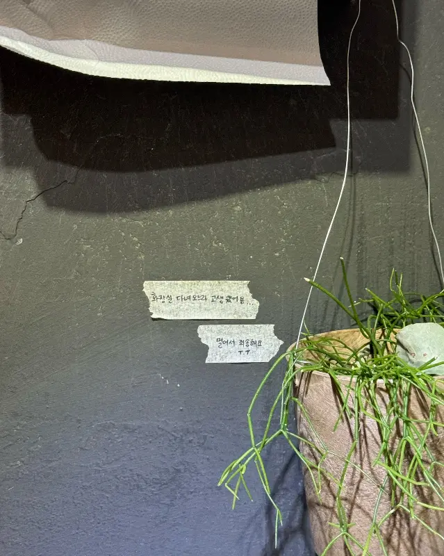 벽에 붙어있는 메모들: 손님들이 남긴 후기인 듯하다.