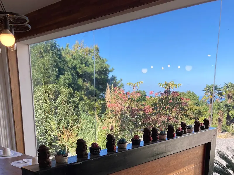 통창 너머로 보이는 아름다운 제주 풍경