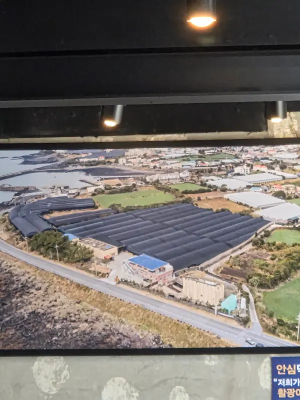 광어다 옆 광어 양식장