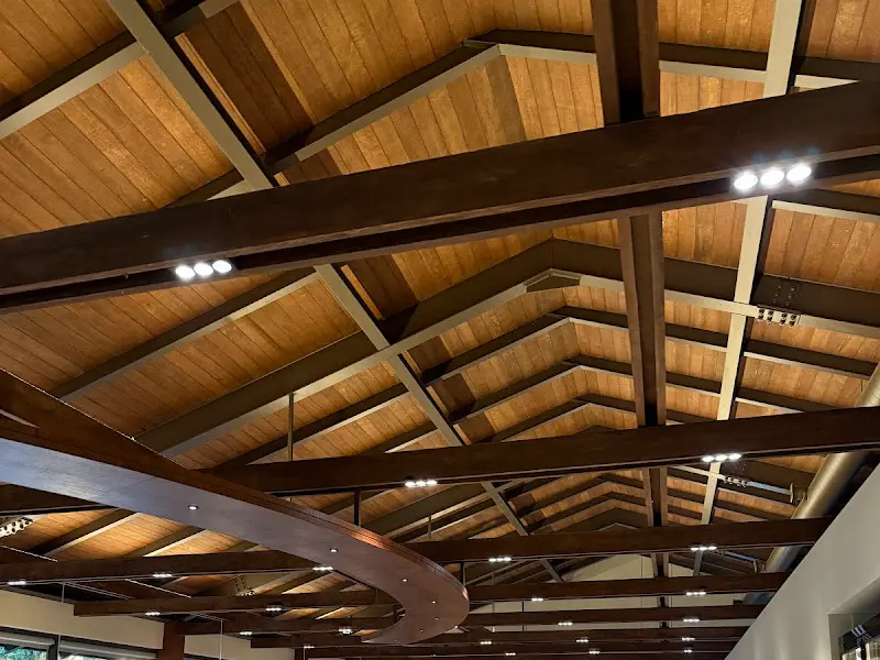 보름숲 천장의 나무 구조