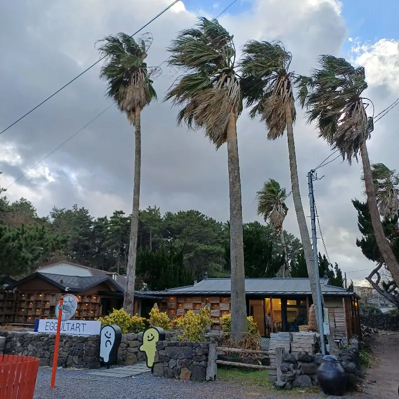 에귤타르트 외부