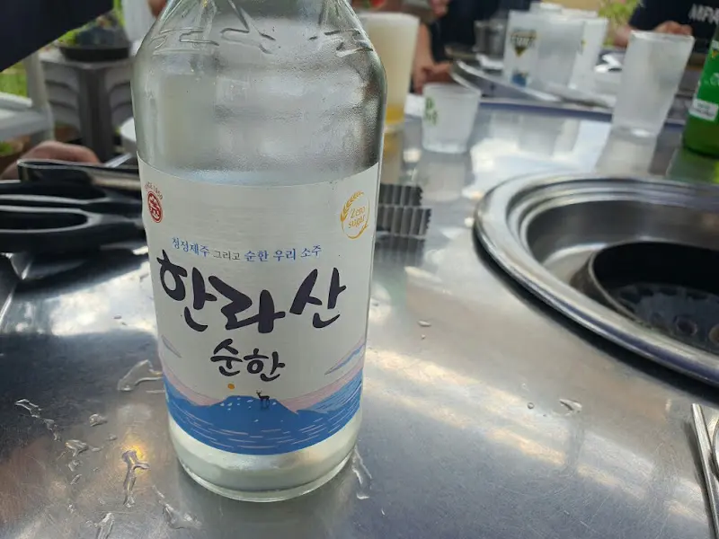 제주 술