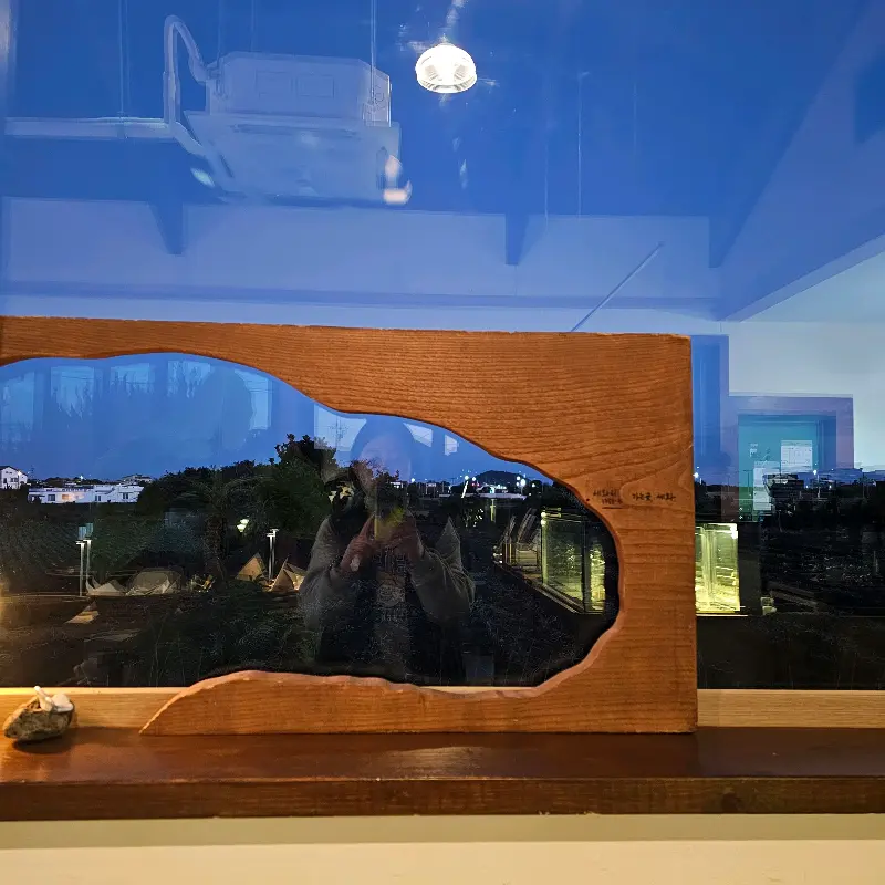 창밖으로 보이는 당근밭 뷰