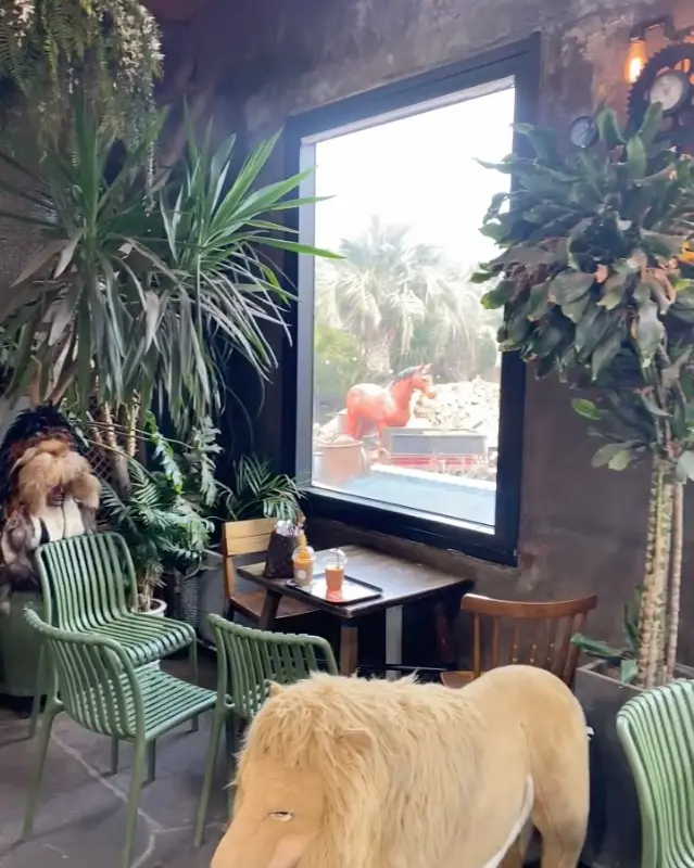 카페 내부 창밖 풍경