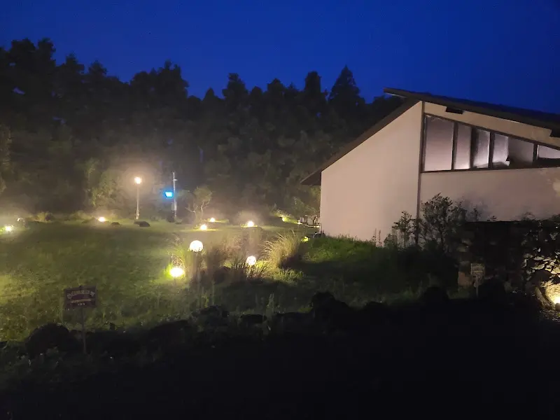 어둠 속에서 은은하게 빛나는 조명들이 몽환적인 분위기를 자아내는 보름숲의 야경