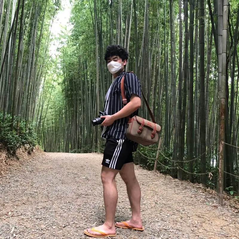 푸르른 대나무 숲