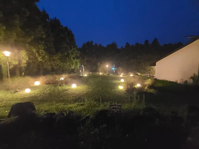 저녁 어스름이 내려앉은 보름숲의 야경