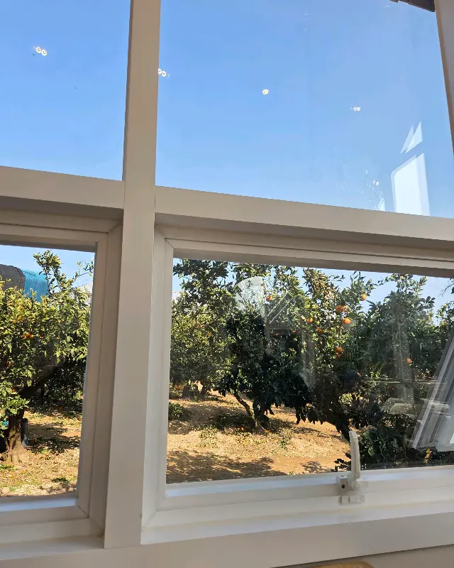 창밖 감귤밭 풍경