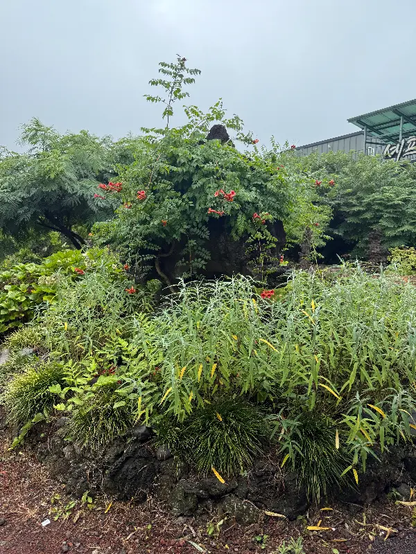 동백국수 정원의 아름다운 풍경