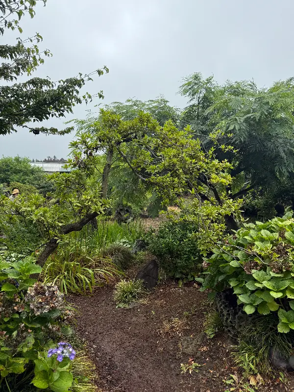 식당 앞 정원의 모습