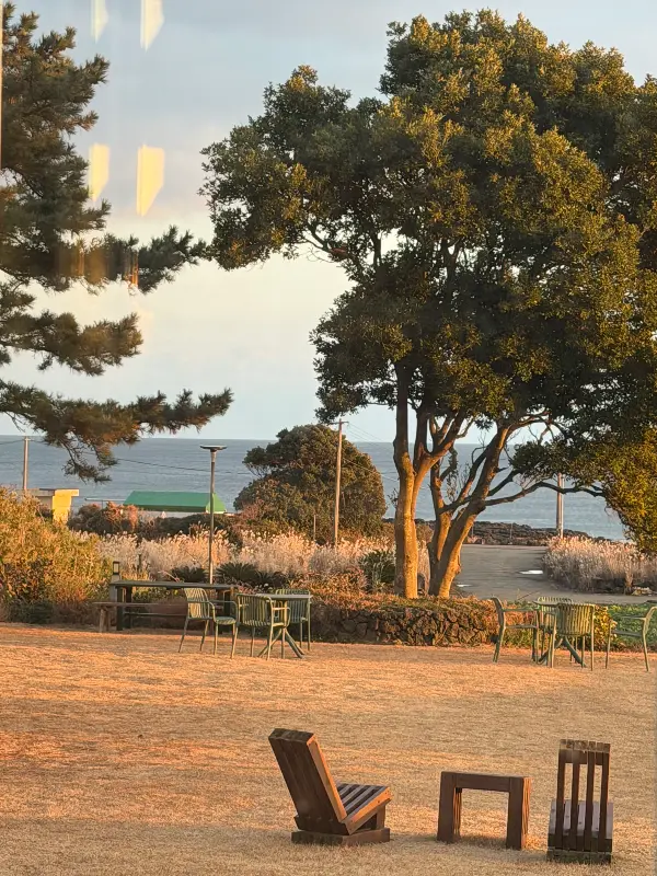 아늑하고 편안한 분위기의 카페