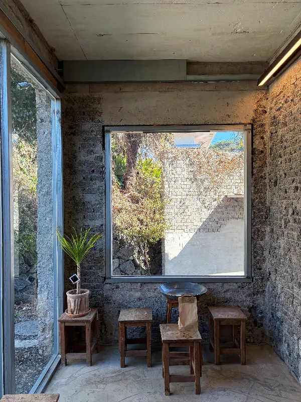 카페 내부에서 보이는 돌담 뷰