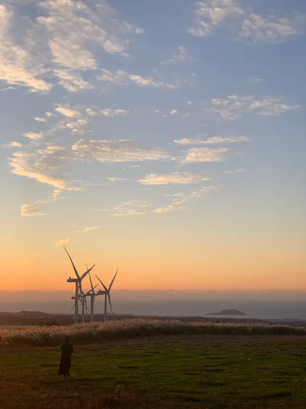 제주도의 아름다운 풍경