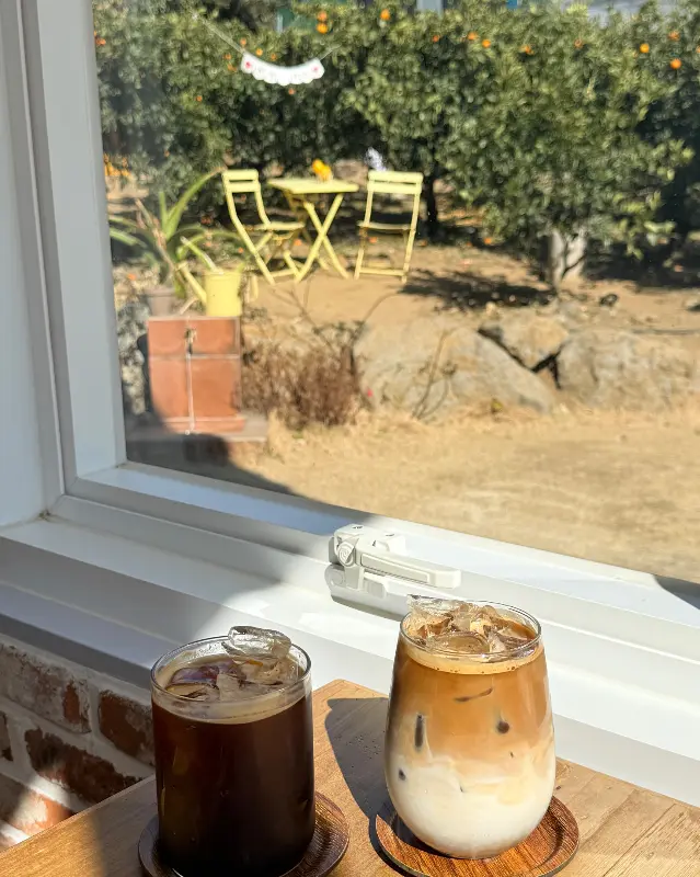 청귤 에이드와 감귤 주스