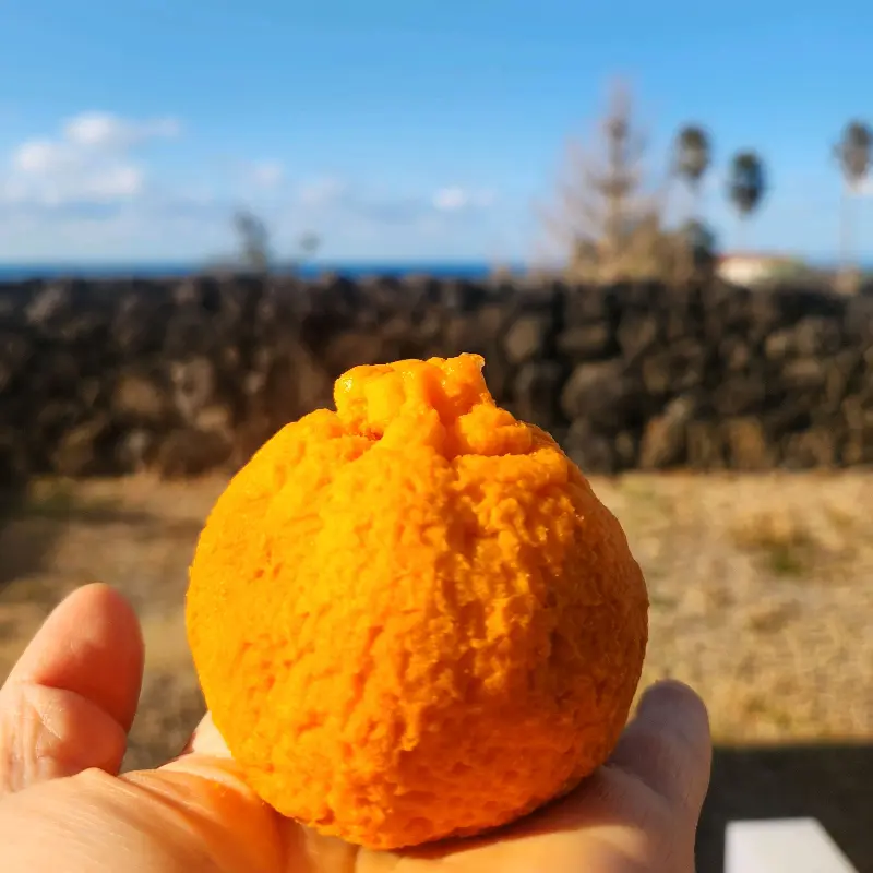 손 위에 올려진 에귤타르트