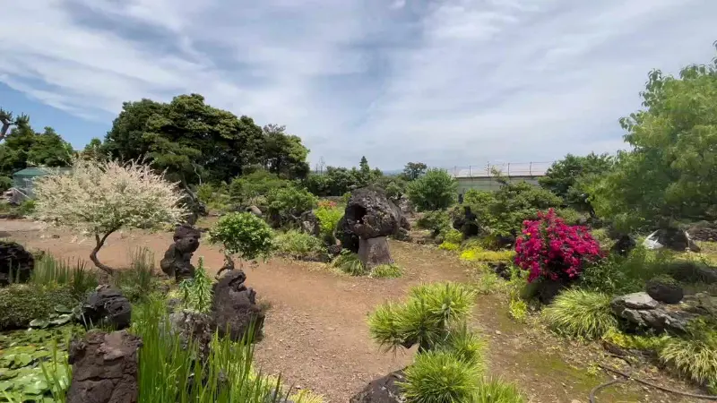 식당 주변 풍경