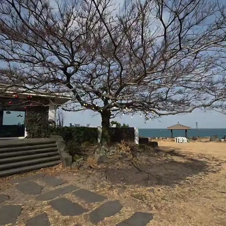 니모메 빈티지라운지 야외 정원