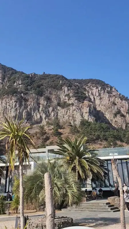 산방산이 보이는 카페 외부 전경