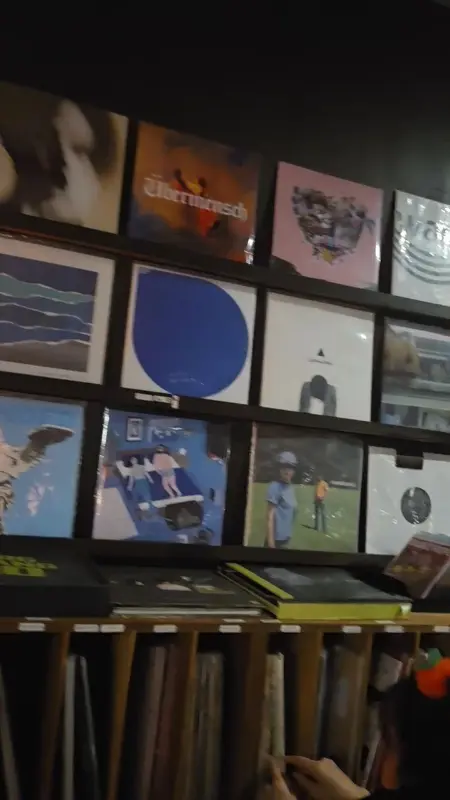 다양한 LP들이 벽면에 진열되어 있는 모습