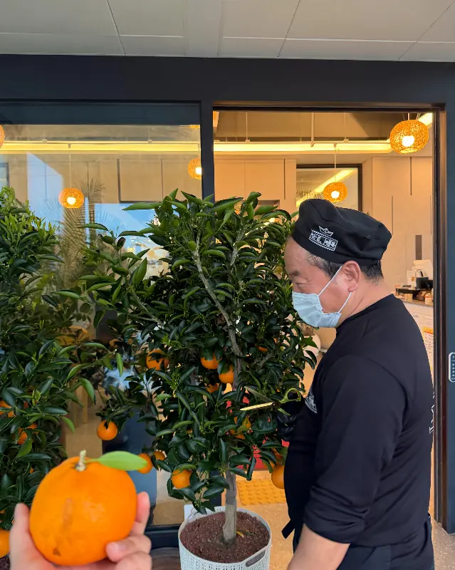 사장님이 직접 기른 귤을 맛보라고 건네주는 모습