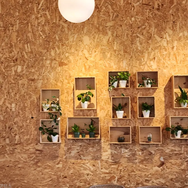 벽면에 설치된 나무 상자 플랜테리어