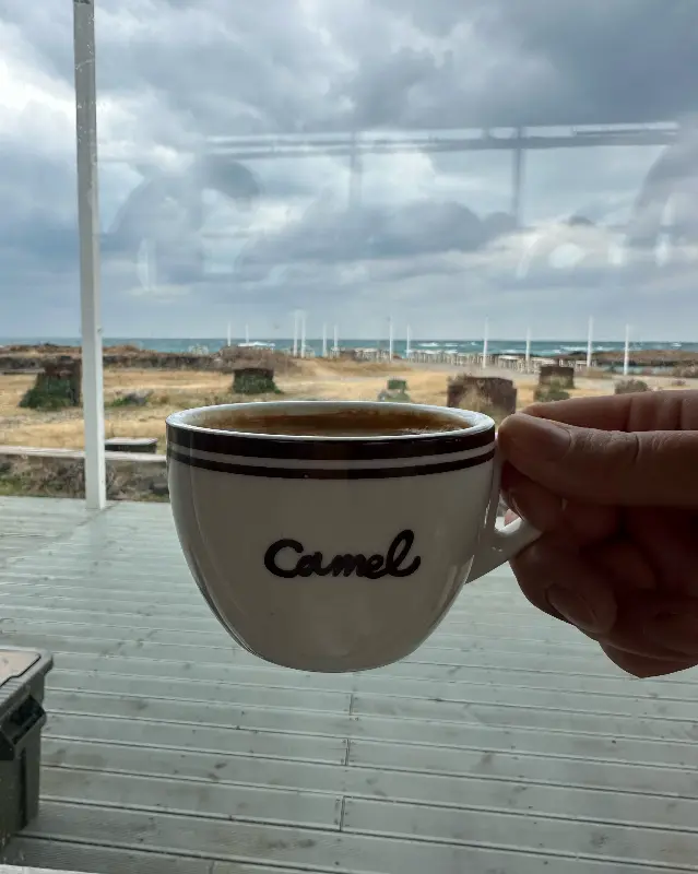 카멜커피 내부 좌석