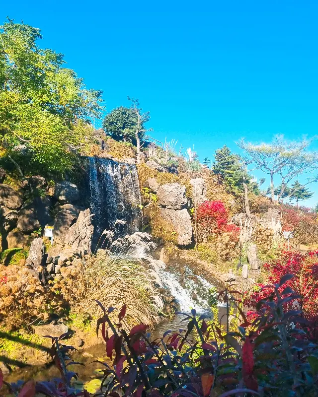 카페 뒤편에 조성된 작은 폭포