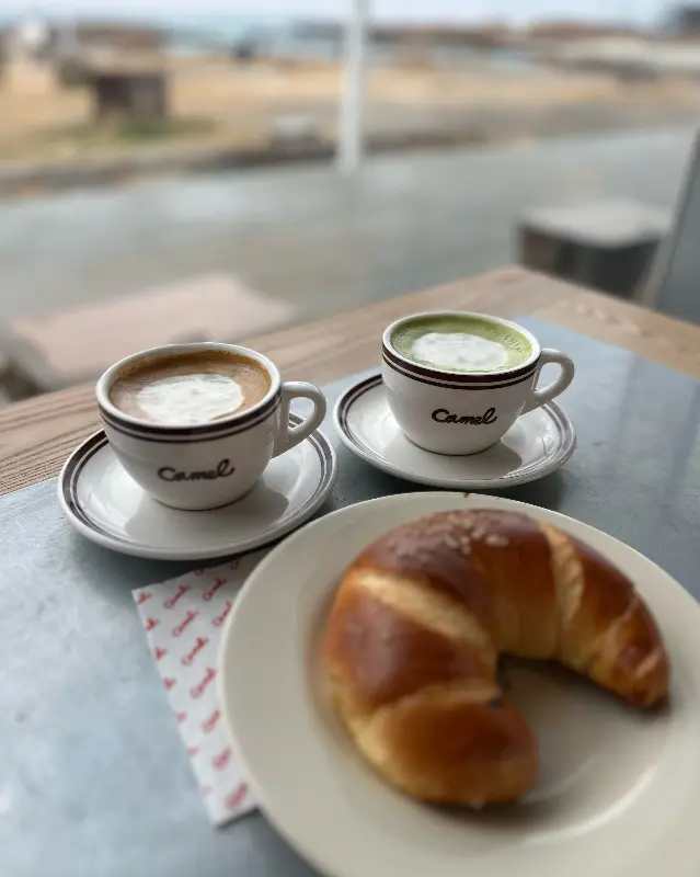 카멜커피와 말차라떼, 솔트 도그테일