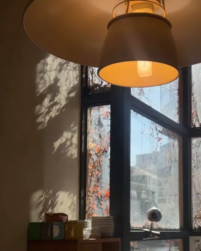 따뜻한 햇살이 비치는 카페 내부