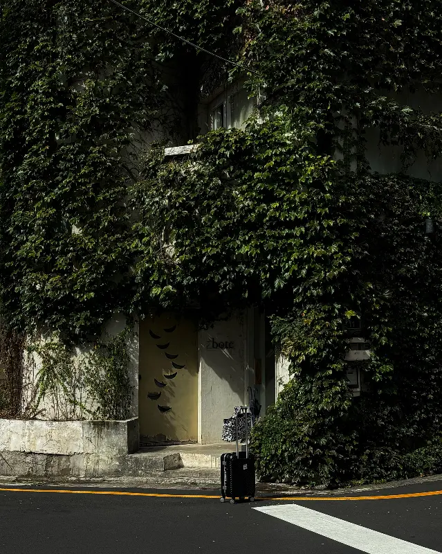 담쟁이 넝쿨로 뒤덮인 보테 카페 외관