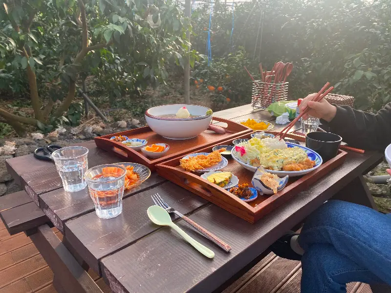 야외 테이블에 차려진 모던돔베 음식