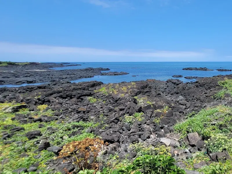 식당 바로 앞에 펼쳐진 아름다운 제주 바다