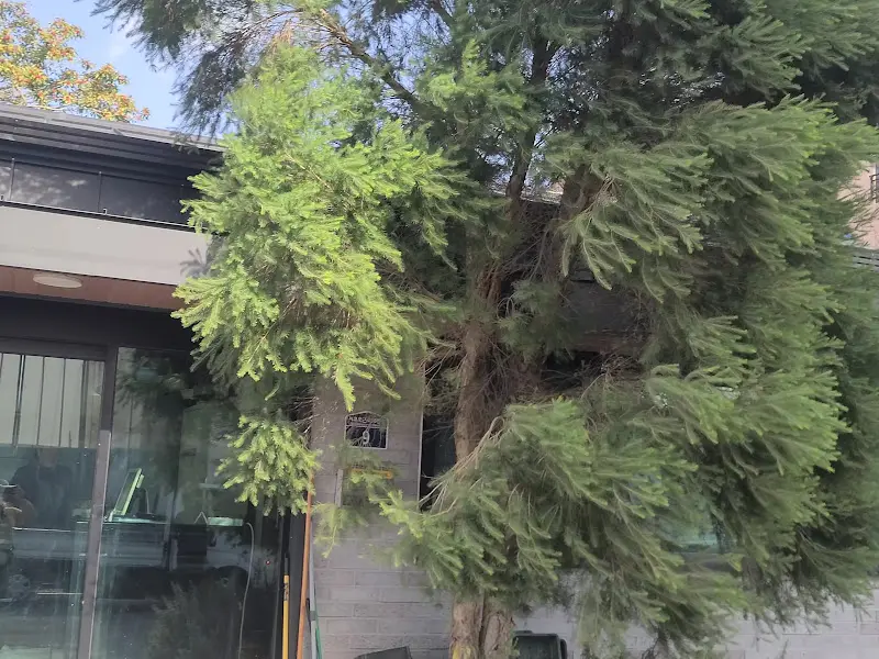 청보리 건물 외관