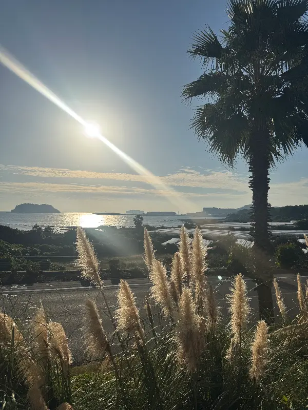 제주의 아름다운 풍경