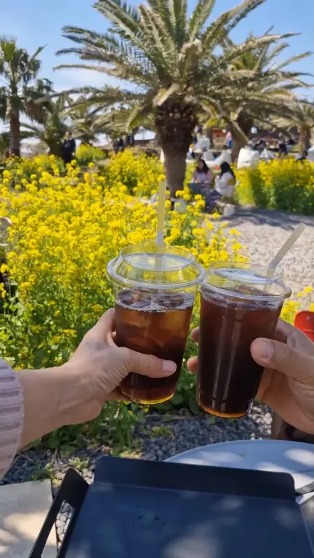 소색채본에서 즐기는 시원한 음료