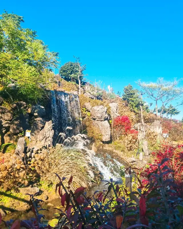 매장 외부 폭포와 정원 전경