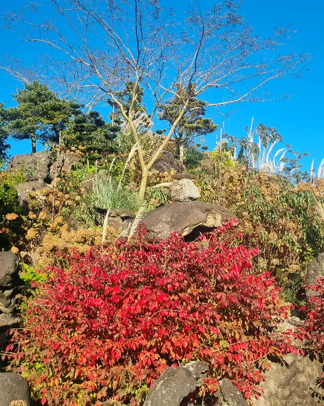 제주의 정원 풍경