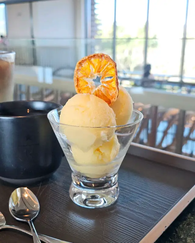 제주 팔삭 셔벗