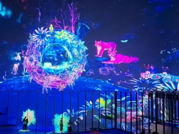 비 오는 날, 예술에 젖어 들다… 제주 노형수퍼마켙에서 찾은 특별한 맛집