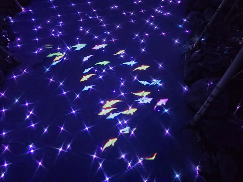 신비로운 물고기 떼