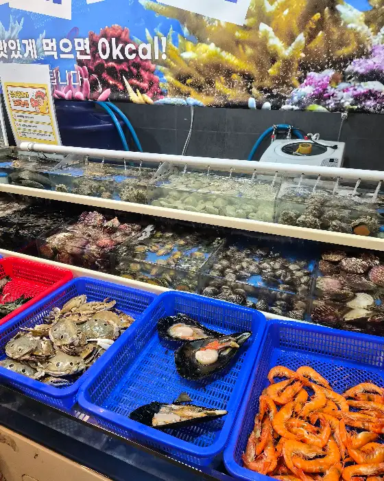 각기 다른 조개와 새우가 담긴 바구니