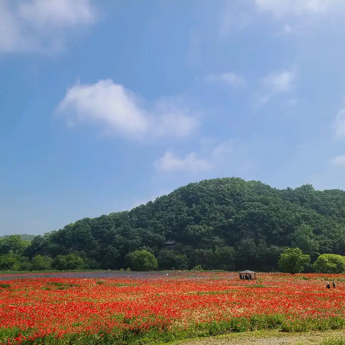 함안의 푸르른 산과 들판