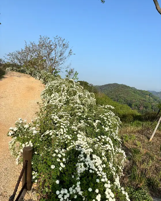 진주 스시하루 모듬회