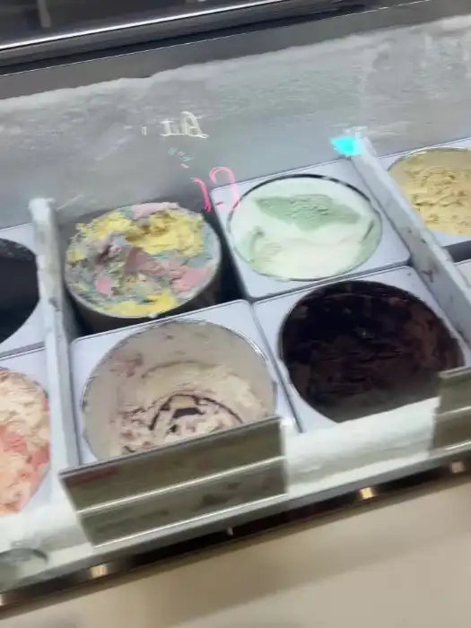 아이스크림 쇼케이스 안의 다양한 맛들