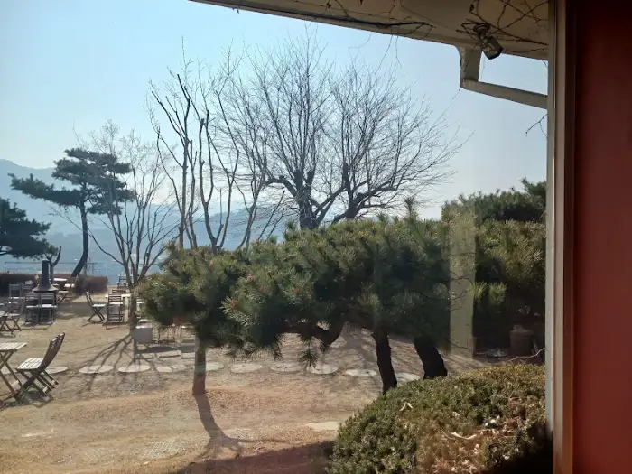 나무가 심어진 야외 공간과 테이블