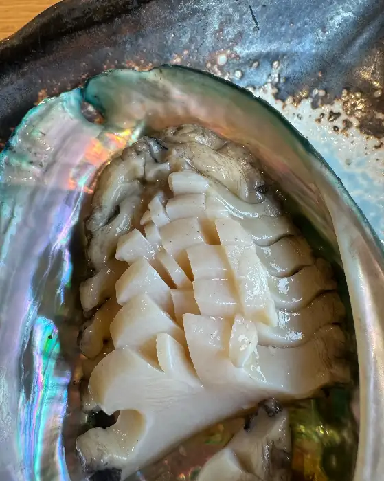 전복 껍질 안에 썰려있는 전복 회의 클로즈업 사진. 얇게 썰린 전복살이 가지런히 놓여 있다.