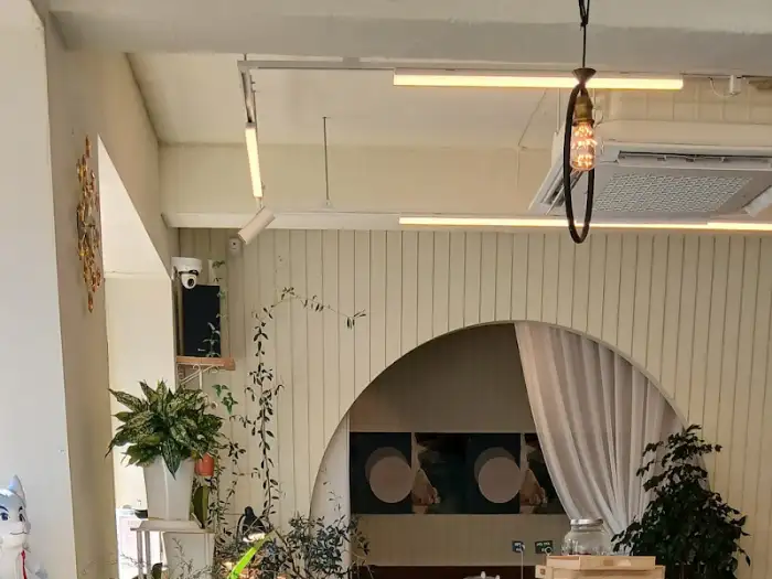 카페 내부의 독특한 조명과 식물 배치
