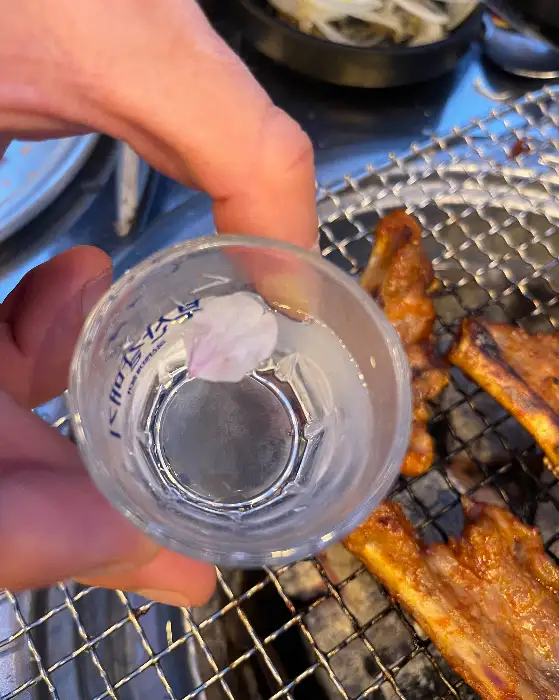 술잔과 쪽갈비