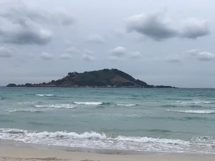 명동교자의 마늘김치