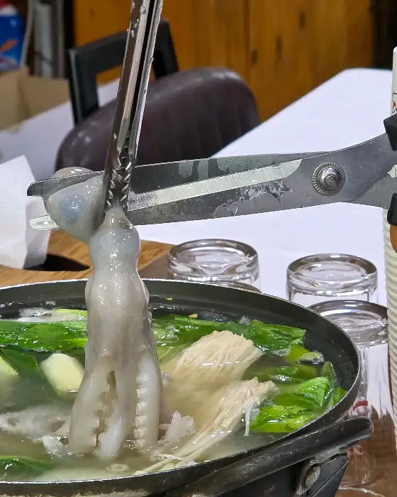 철판 위에서 직접 볶아지는 살아있는 낙지
